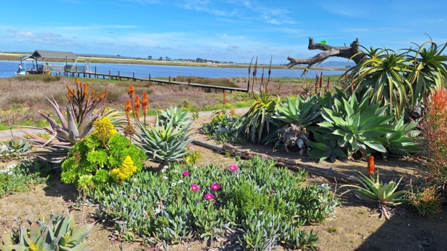 0 Bedroom Property for Sale in Velddrif Western Cape